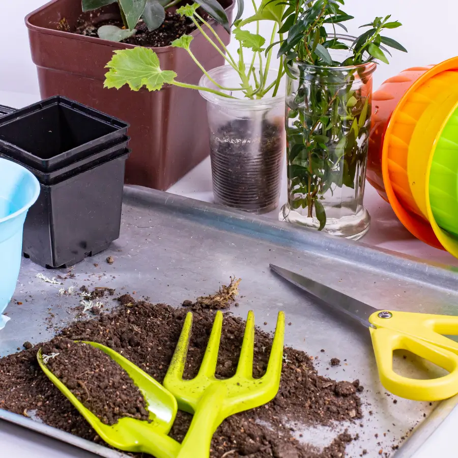 Home & Garden